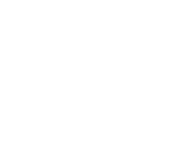 NS Consulting